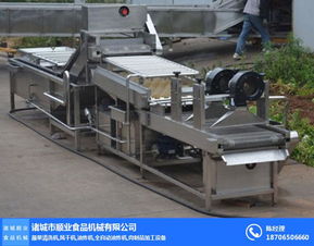 青椒清洗流水線哪家好 順業(yè)食品機(jī)械 黑龍江青椒清洗流水線