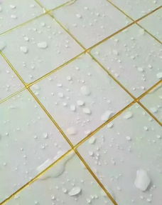 裝修半年腸子都悔青了 家里貼瓷磚的都應該看看